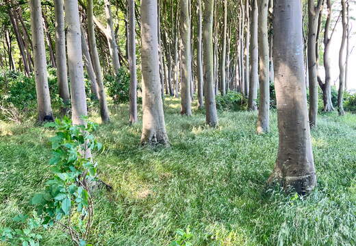 24-07-01 11-14-47 0053